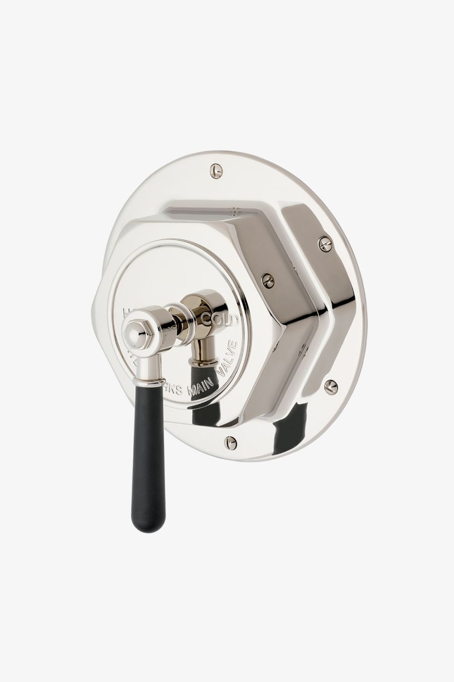 Regulator Thermostatic Control Valve Trim with Two-Tone Lever Handle